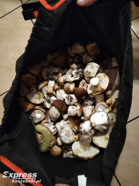 Efekty niedzielnego grzybobrania