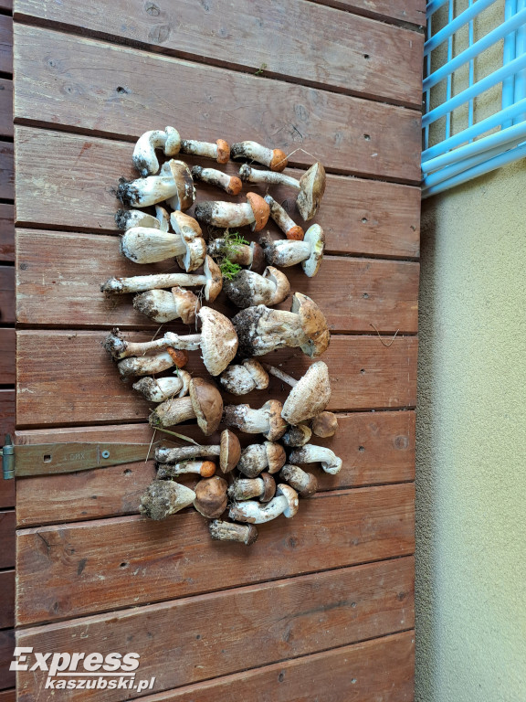 Efekty niedzielnego grzybobrania