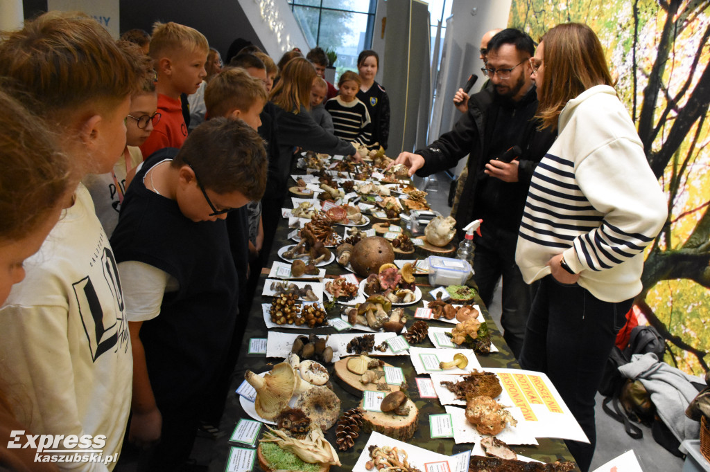 Wystawa grzybów w sierakowickim Centrum Kultury