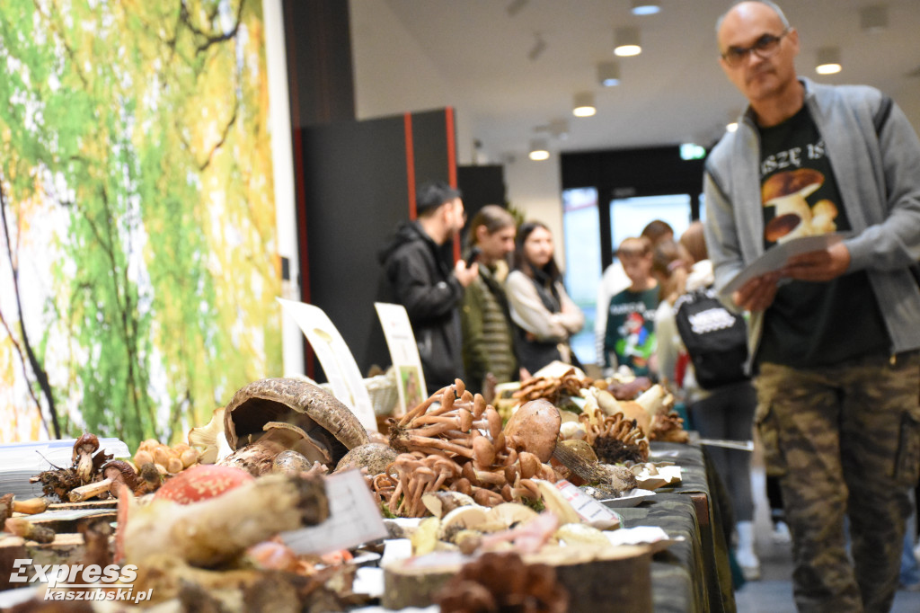 Wystawa grzybów w sierakowickim Centrum Kultury