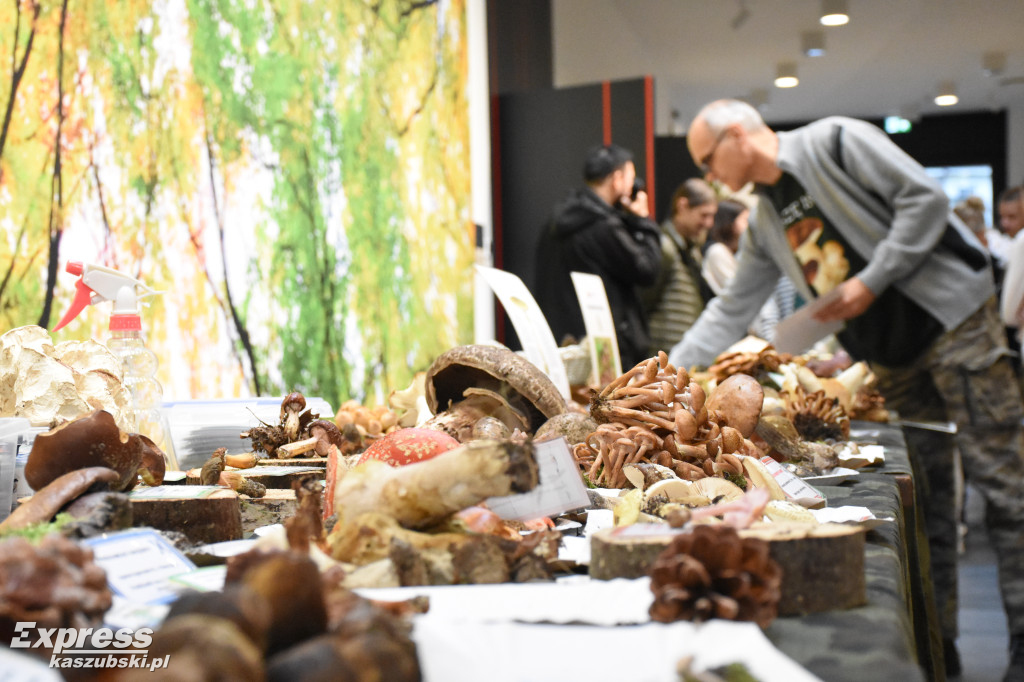 Wystawa grzybów w sierakowickim Centrum Kultury