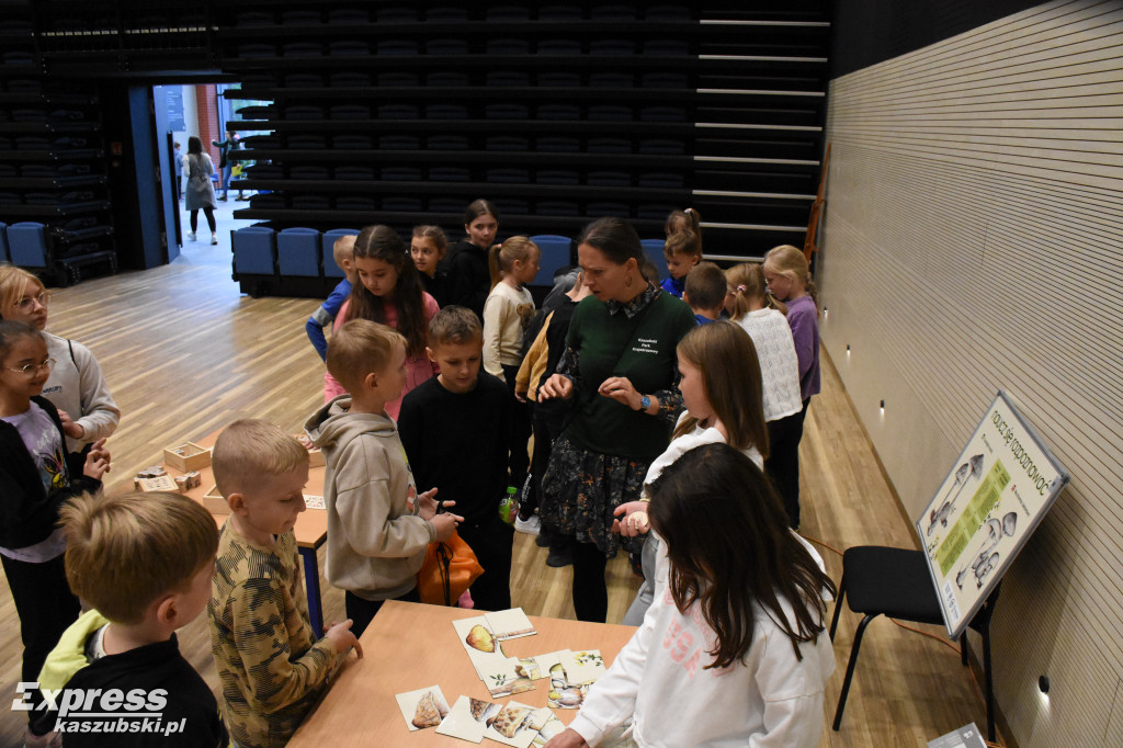 Wystawa grzybów w sierakowickim Centrum Kultury