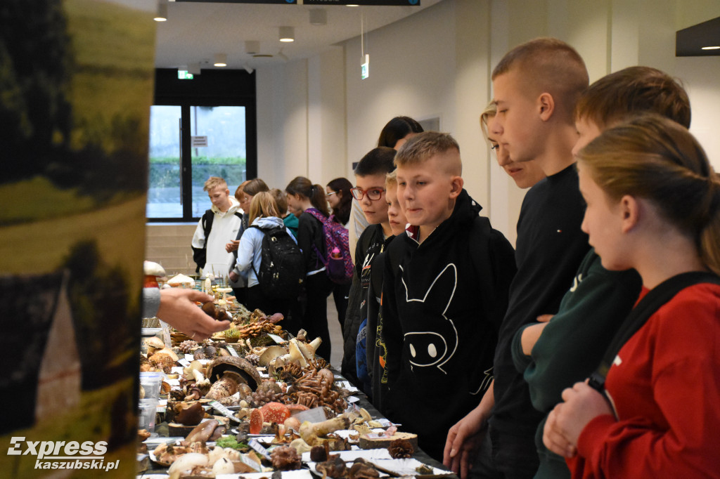 Wystawa grzybów w sierakowickim Centrum Kultury