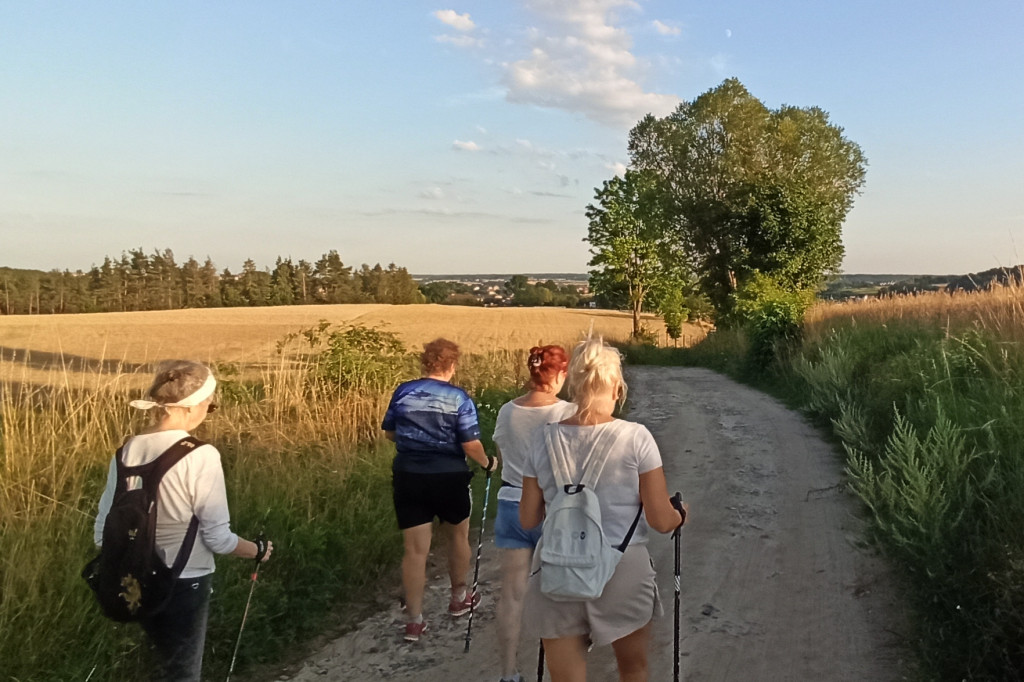 Nordic Walking Senior