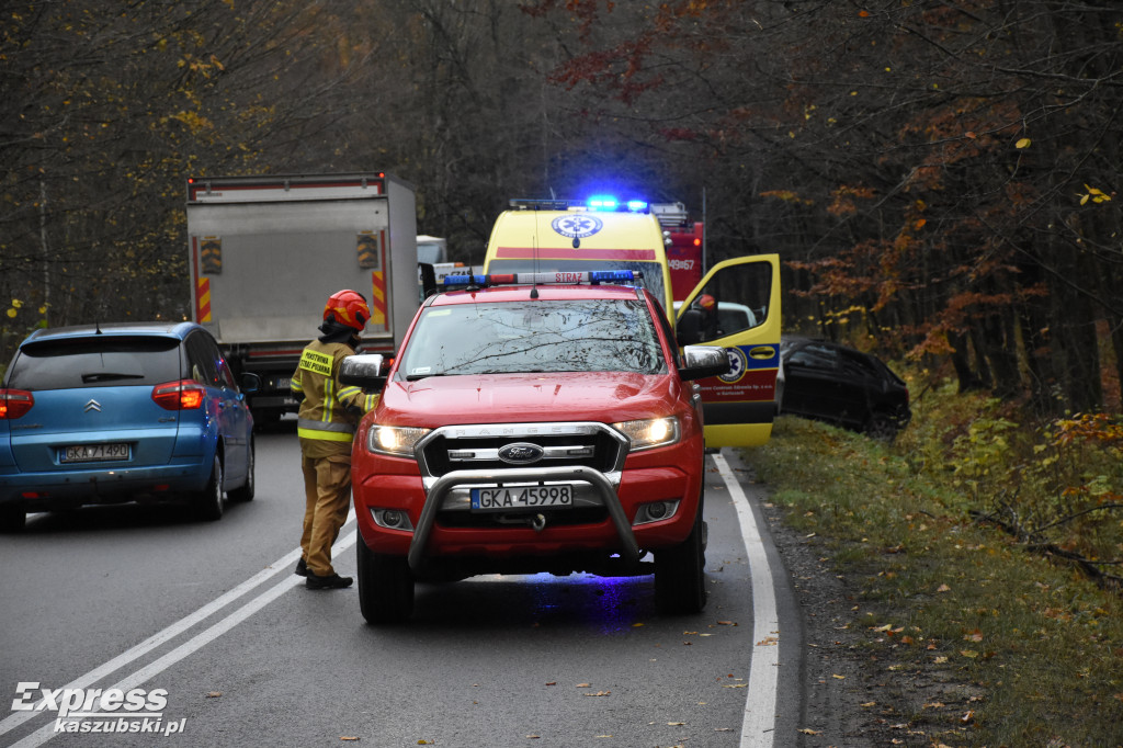 Osobówka wypadła z drogi na odcinku Kartuzy - Leszno