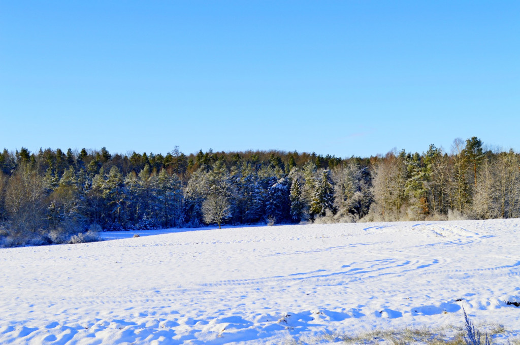 Śnieżny początek ferii na Kaszubach