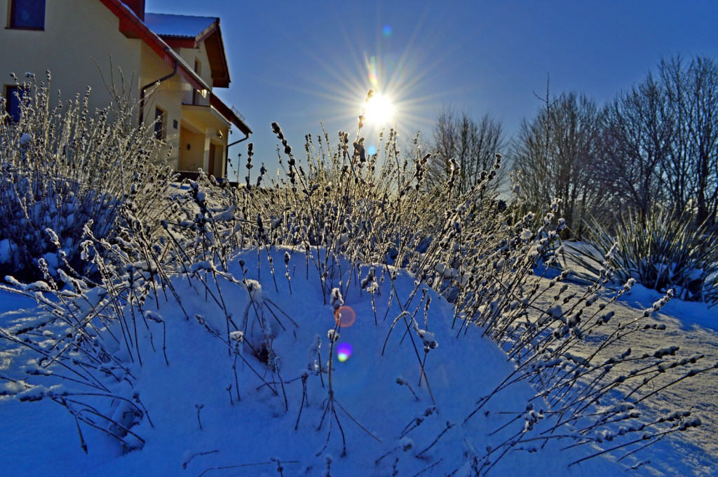 Śnieżny początek ferii na Kaszubach