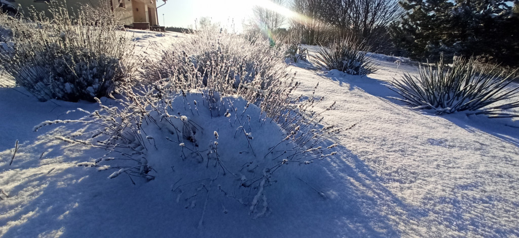 Śnieżny początek ferii na Kaszubach