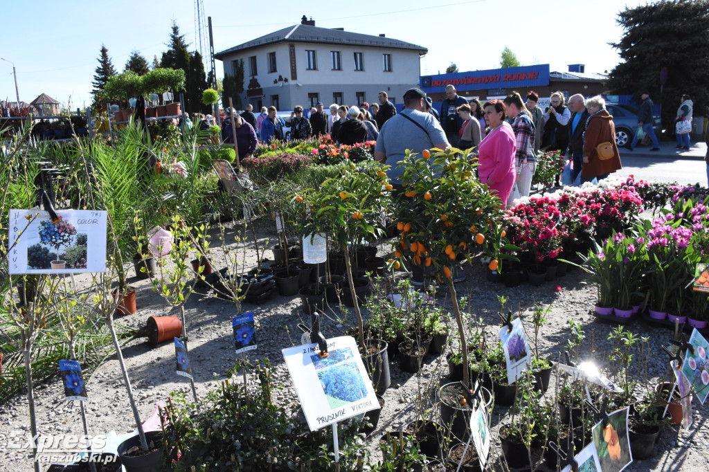 Święto kwiatów i krzewów w Sierakowicach