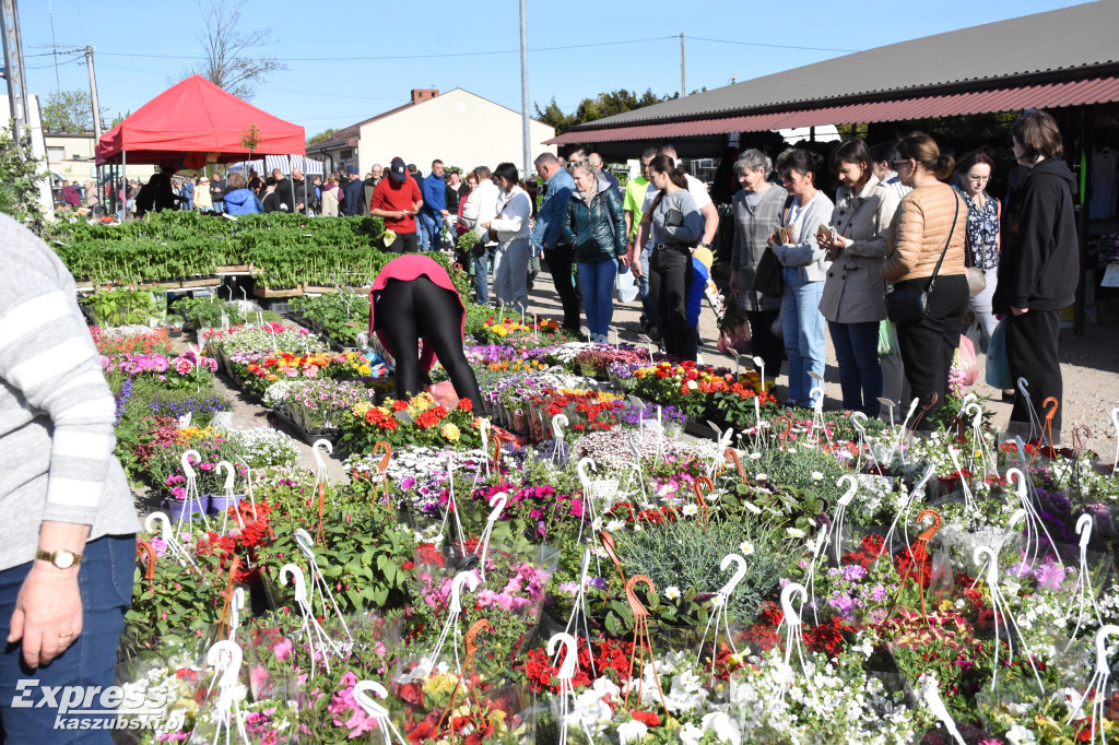 Święto kwiatów i krzewów w Sierakowicach