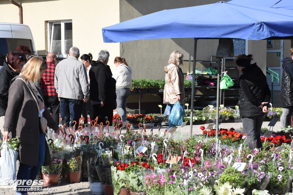 Święto kwiatów i krzewów w Sierakowicach