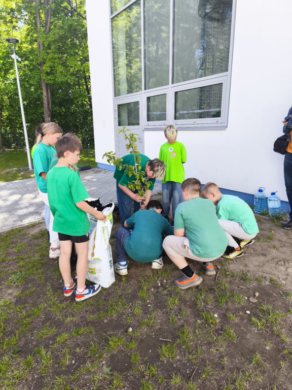 Zakładanie sadu przy SP nr 2 w Baninie