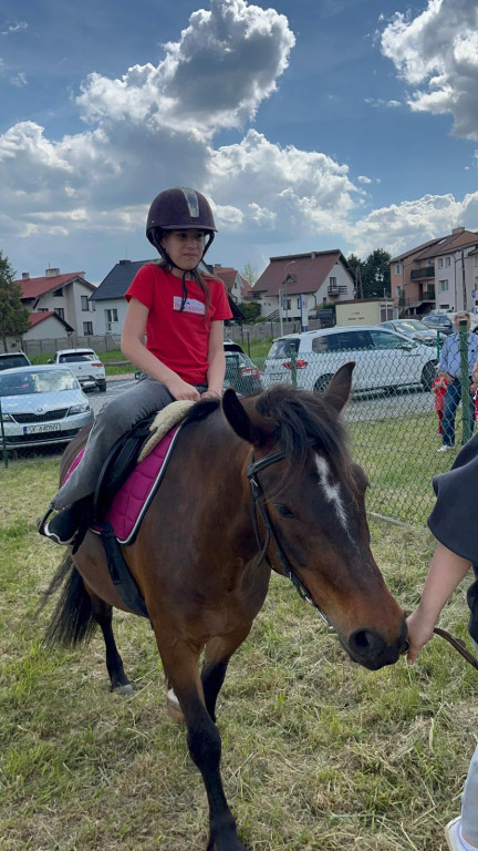 Festyn rodzinny w przedszkolu Bocianowo pełen atrakcji