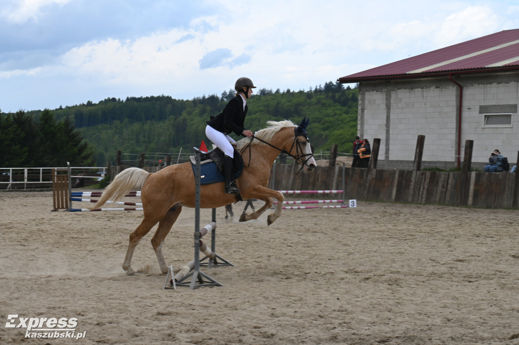 Zawody jeździeckie w Kolanie