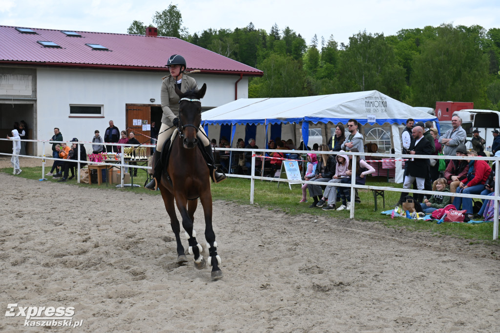 Zawody jeździeckie w Kolanie