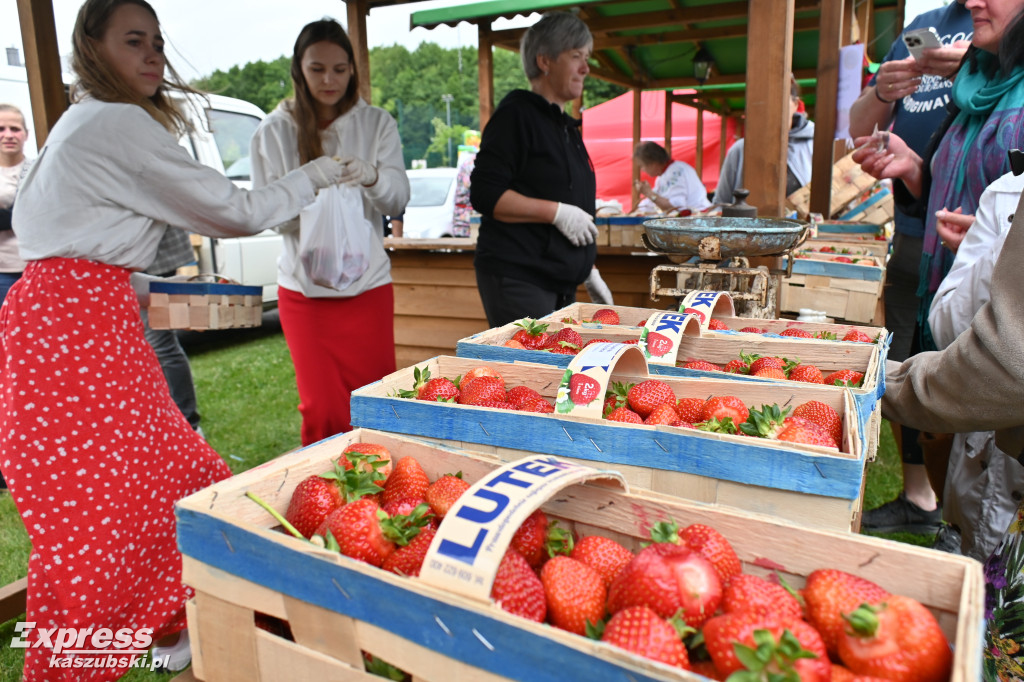 Festiwal Truskawek Kaszubskich Chmielno 2025