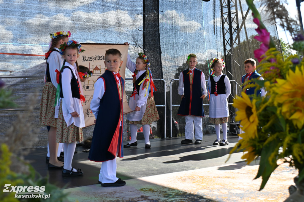 Kamela. Dożynki gminy Somonino
