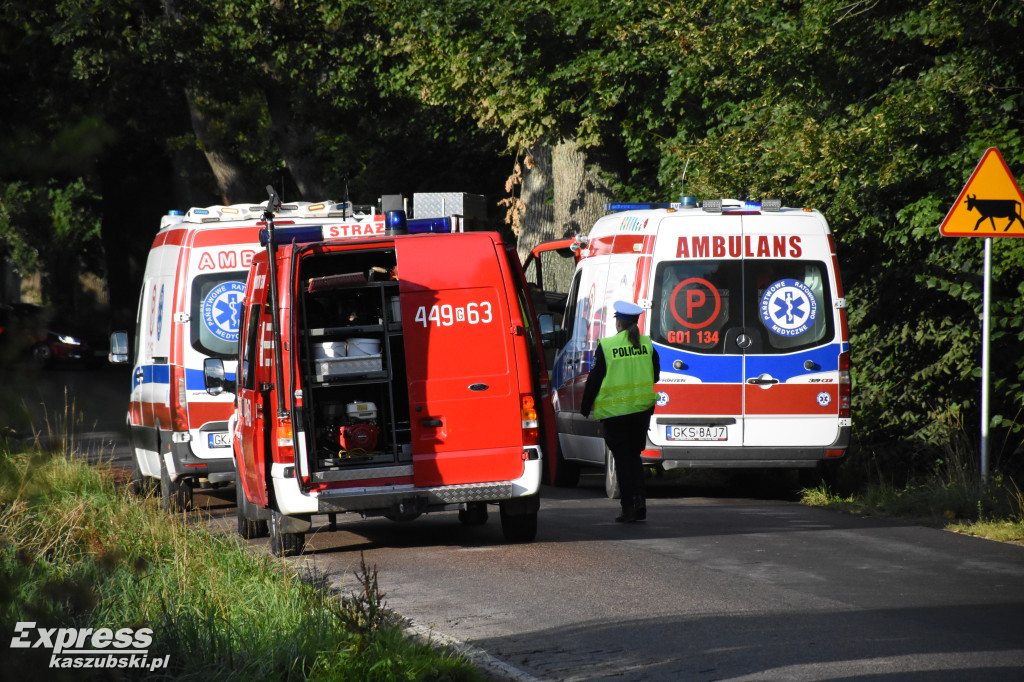 Wypadek w Karłowie