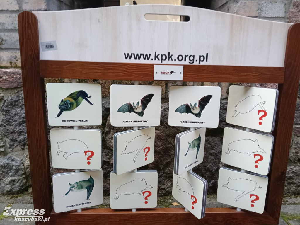 Mirachowo. Spotkanie z nietoperzami