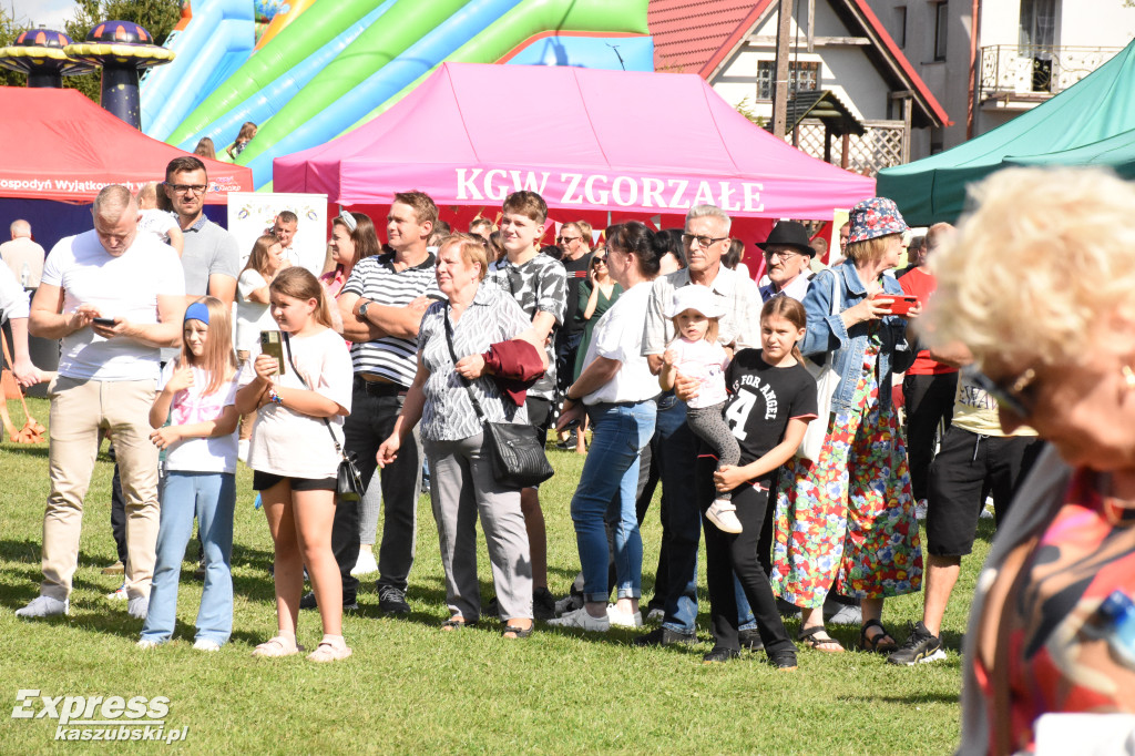 Dożynki gm. Stężyca w Klukowej Hucie