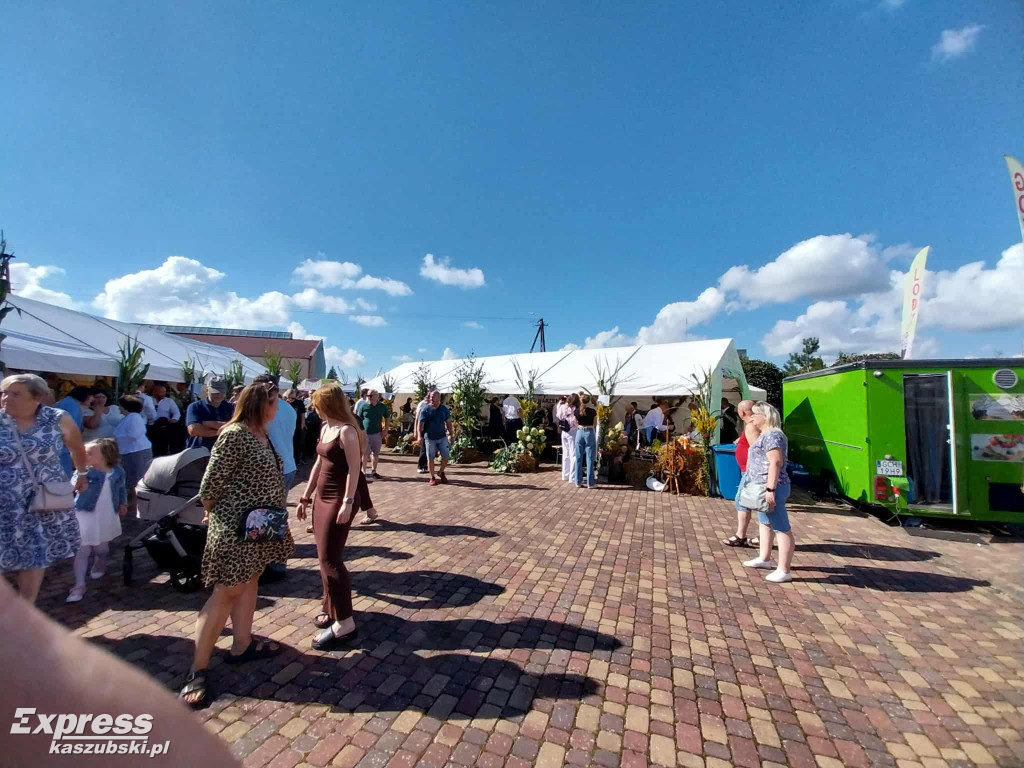 Święto Plonów w Przodkowie