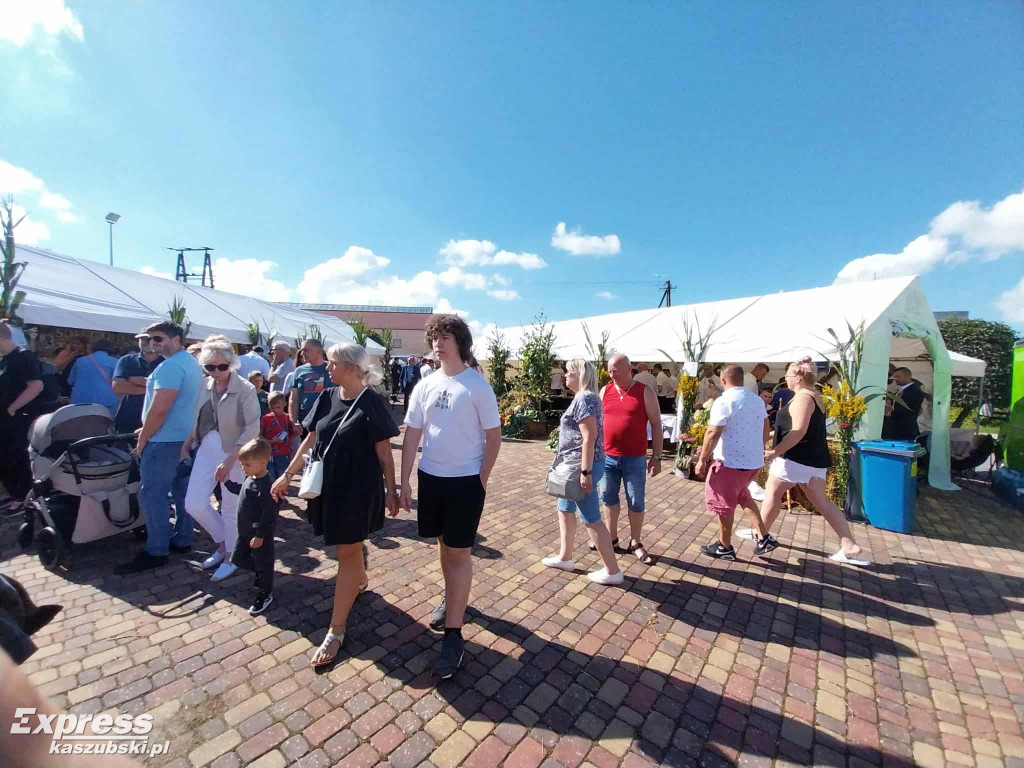 Święto Plonów w Przodkowie