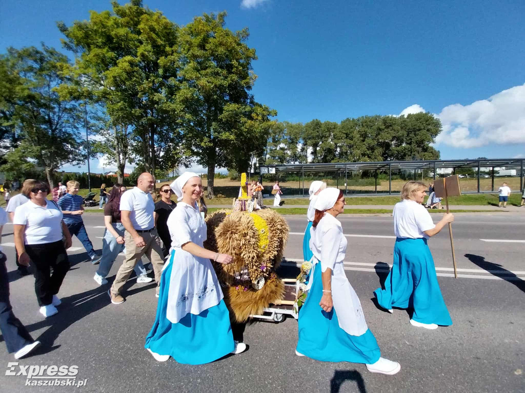 Święto Plonów w Przodkowie