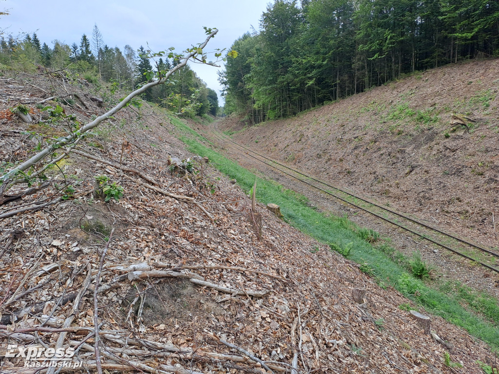 Ruiny mostu przy linii kolejowej Kartuzy - Sierakowice