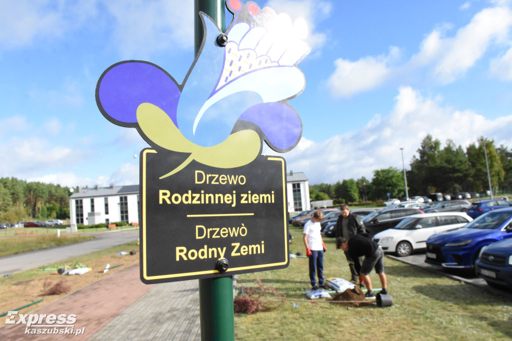 Kaszubskie Drzewa Wartości w Stężycy