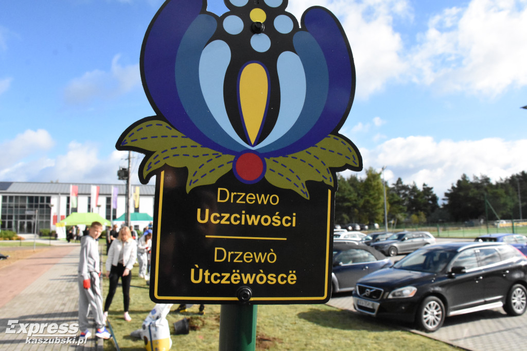 Kaszubskie Drzewa Wartości w Stężycy