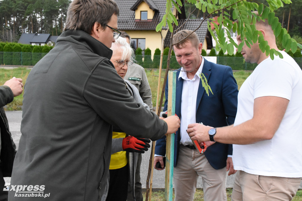 Kaszubskie Drzewa Wartości w Stężycy