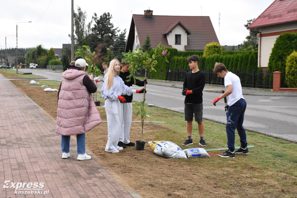 Kaszubskie Drzewa Wartości w Stężycy