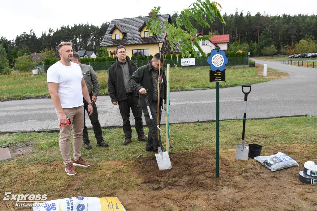 Kaszubskie Drzewa Wartości w Stężycy