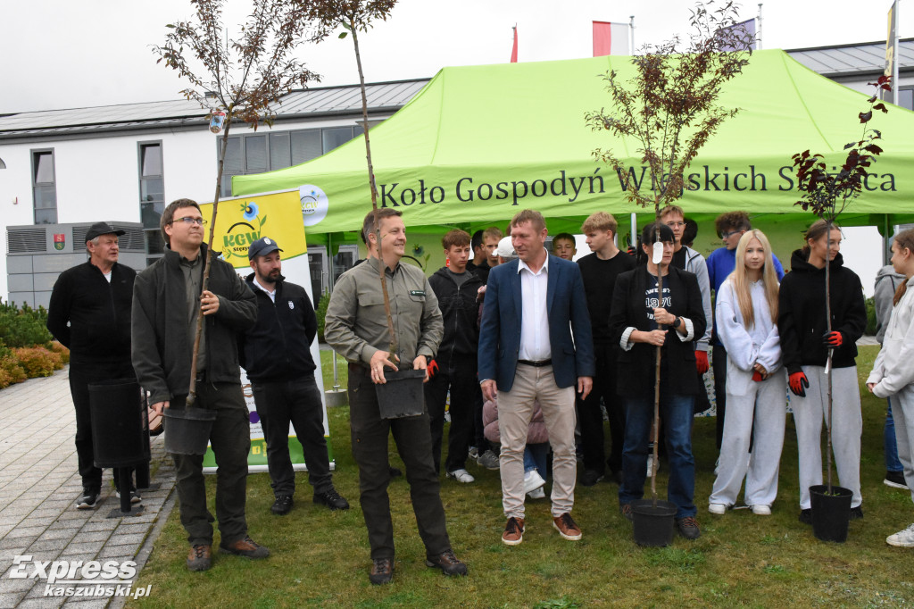 Kaszubskie Drzewa Wartości w Stężycy