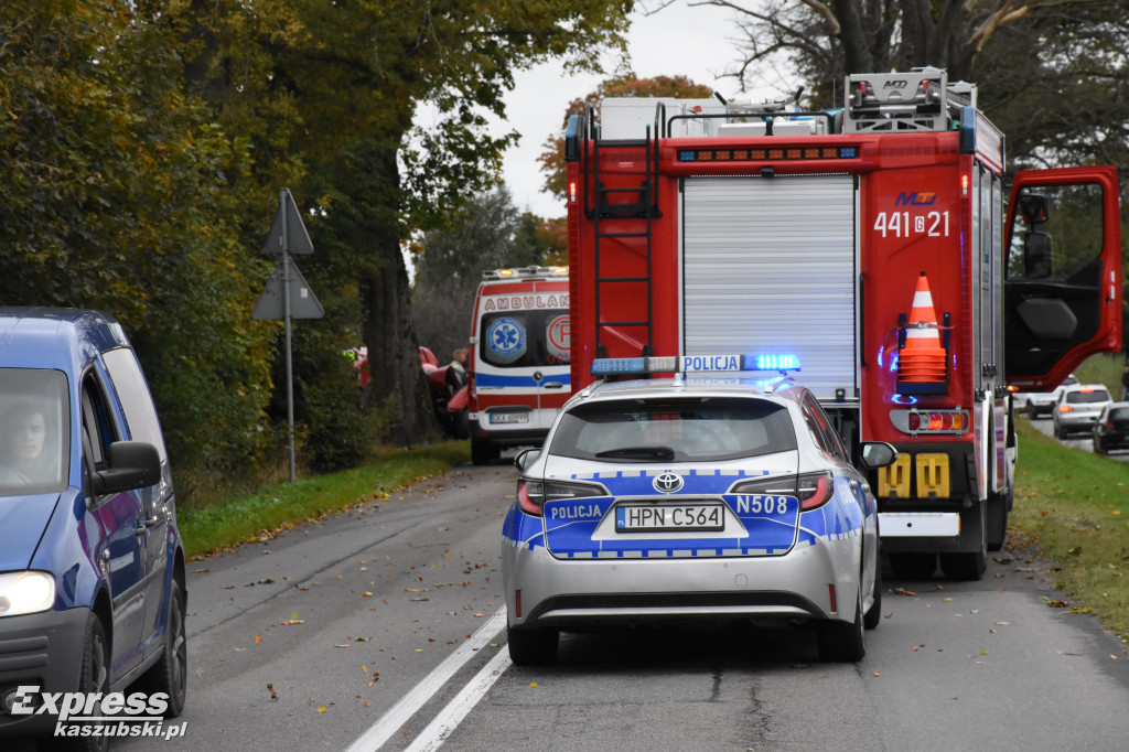 Wypadek w Puzdrowie