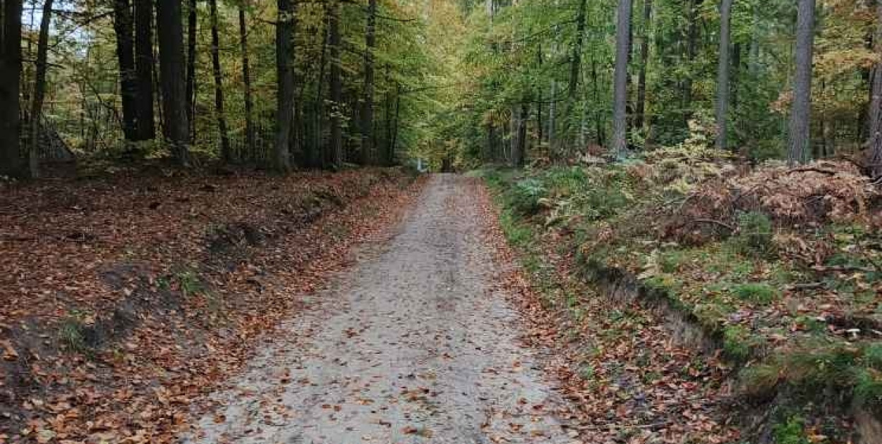 Trasy Nordic Walking w Sulminie