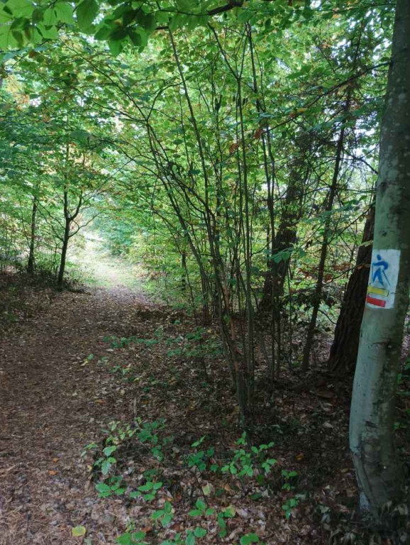 Trasy Nordic Walking w Sulminie