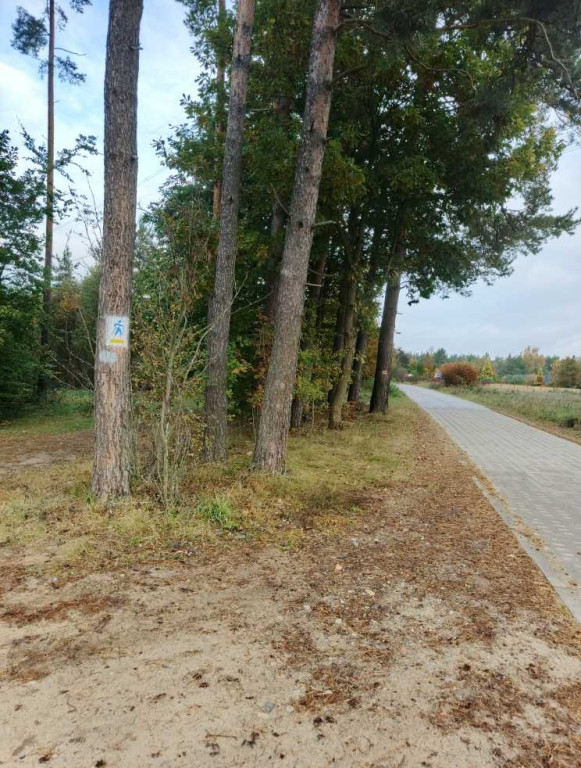Trasy Nordic Walking w Sulminie