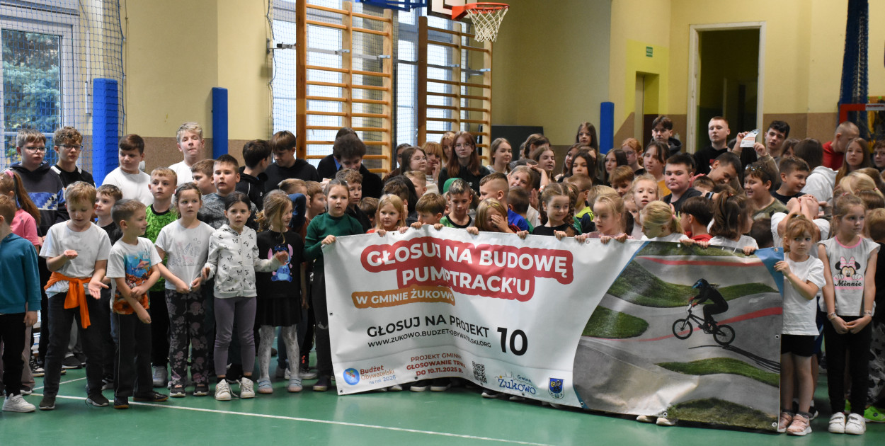 Niestępowo - apel ws. budżetu obywatelskiego