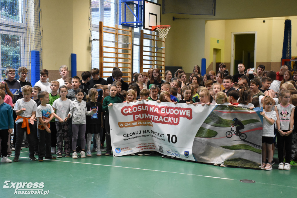 Niestępowo - apel ws. budżetu obywatelskiego