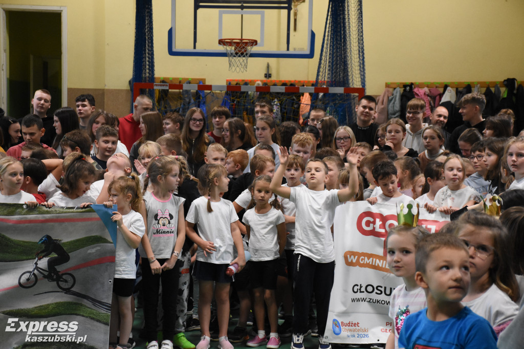 Niestępowo - apel ws. budżetu obywatelskiego