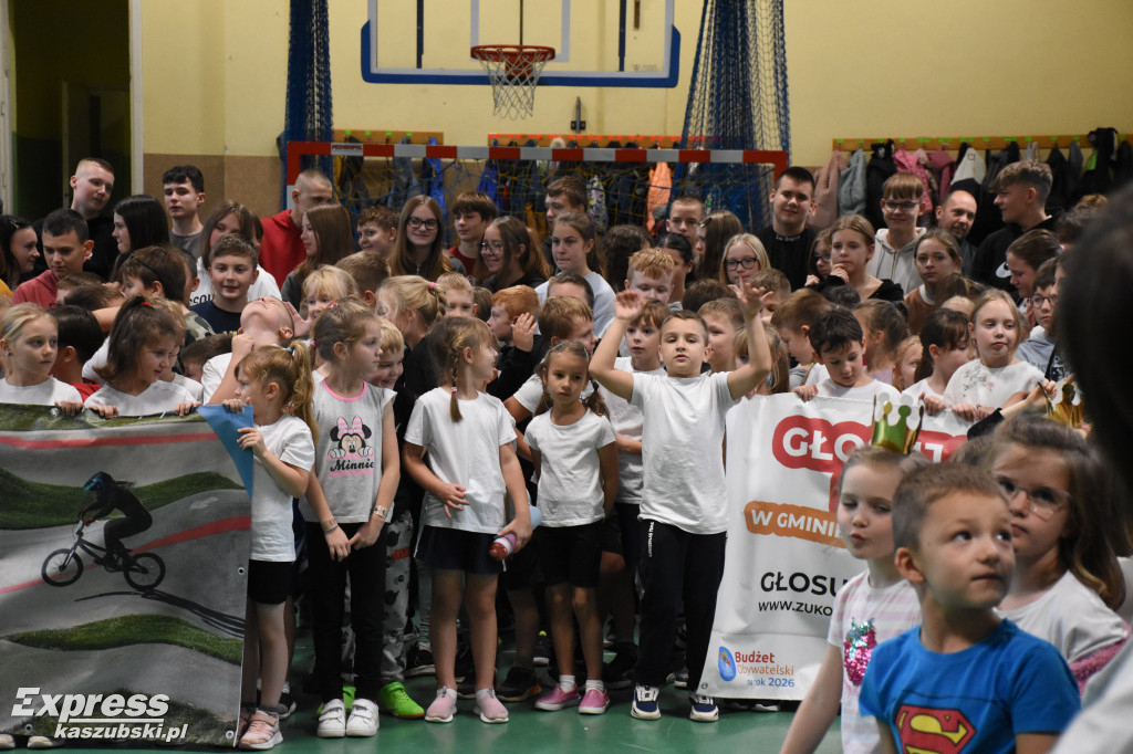 Niestępowo - apel ws. budżetu obywatelskiego