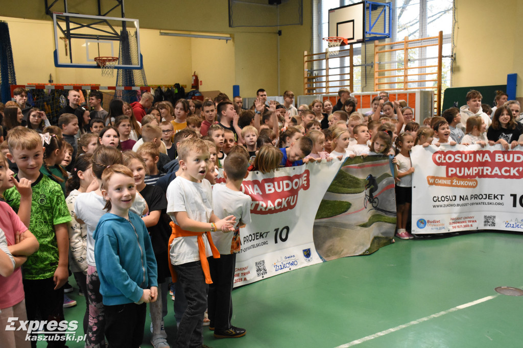 Niestępowo - apel ws. budżetu obywatelskiego