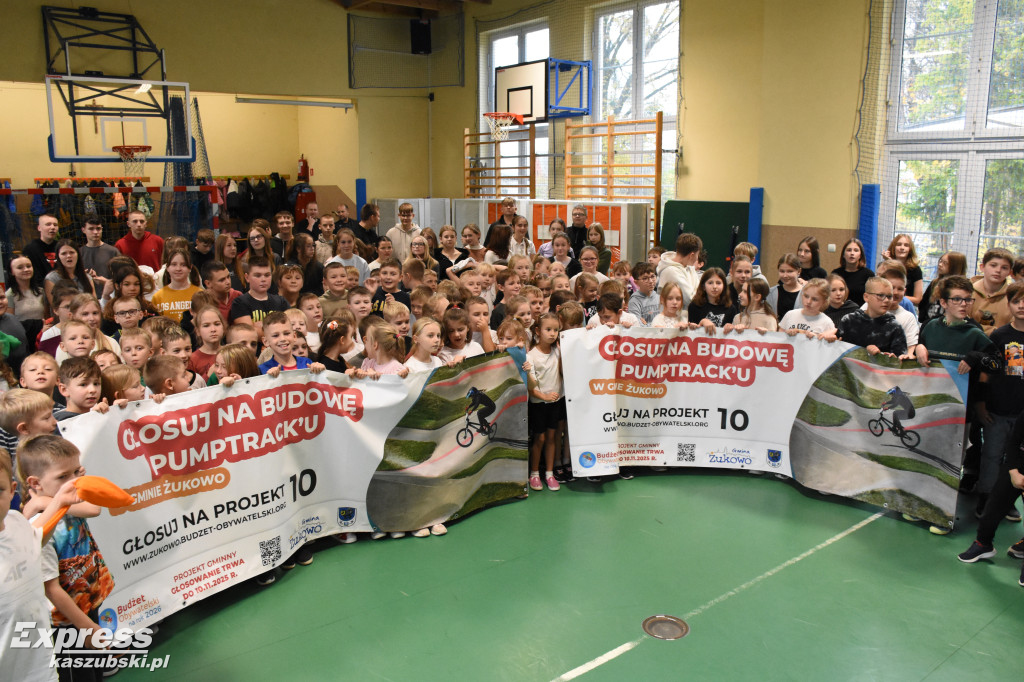 Niestępowo - apel ws. budżetu obywatelskiego