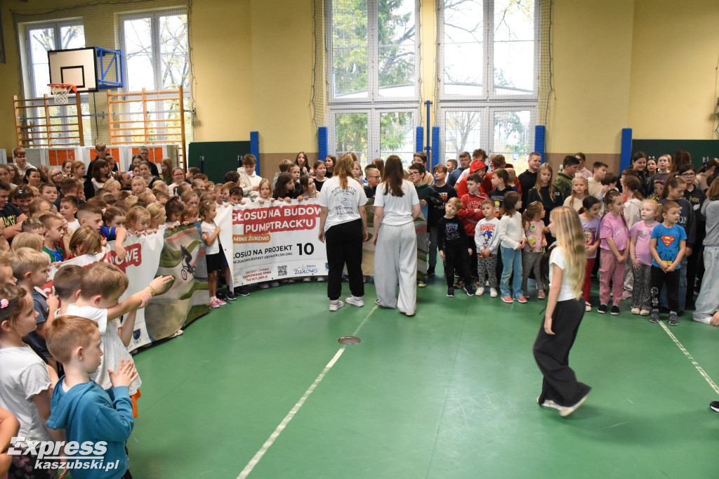 Niestępowo - apel ws. budżetu obywatelskiego