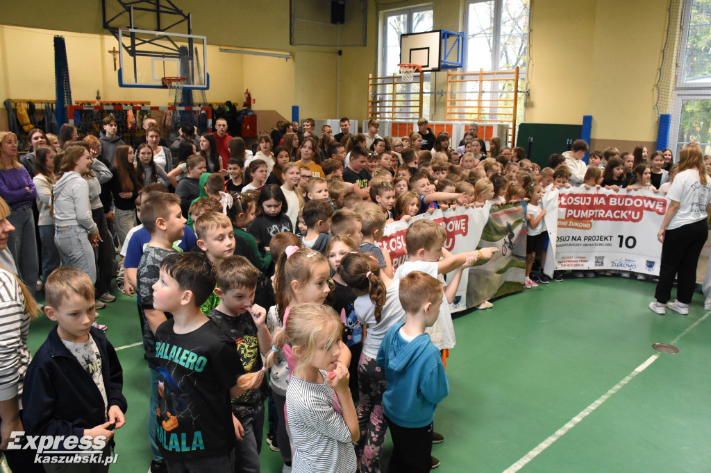 Niestępowo - apel ws. budżetu obywatelskiego