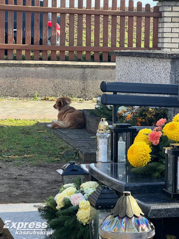 Wszystkich Świętych w Gowidlinie