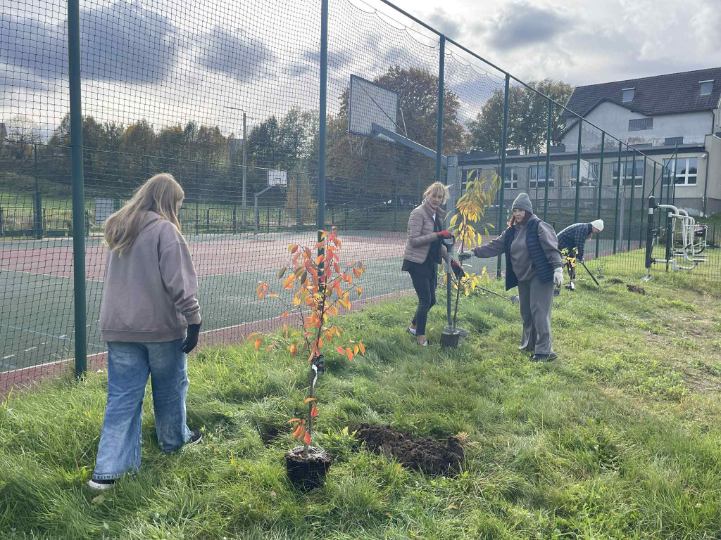 Nowa altana w Prokowie