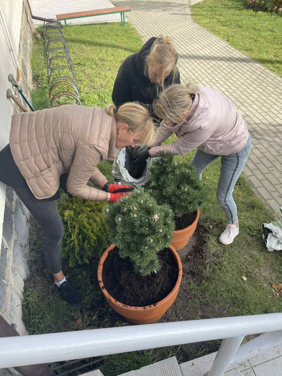 Nowa altana w Prokowie