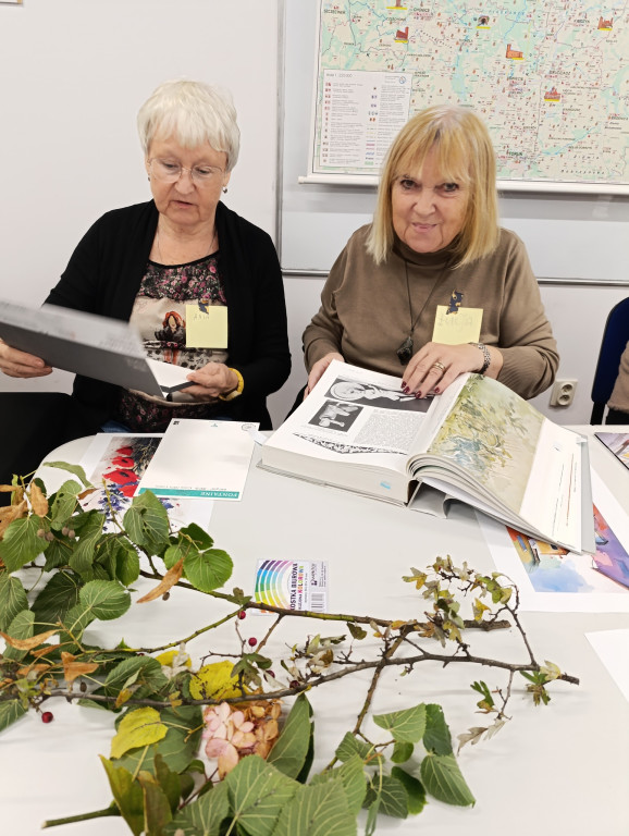 Przystań kultura w Baninie